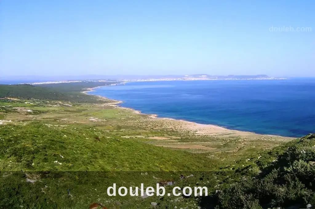 Un beau terrain 3300 m2 a demna metline bizerte à Bizerte