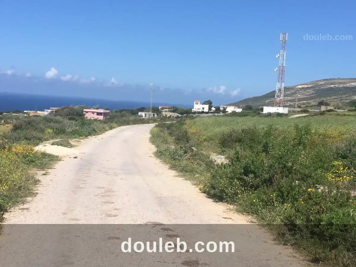 Un beau terrain 3300 m2 a demna metline bizerte - Miniature 2