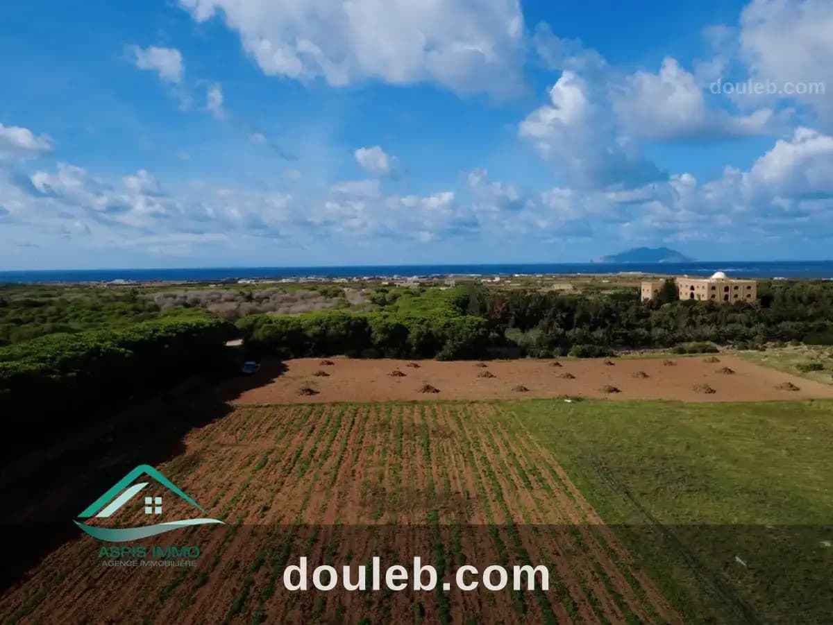 Vt809 terrain agricole à sidi daoued hawaria à Nabeul