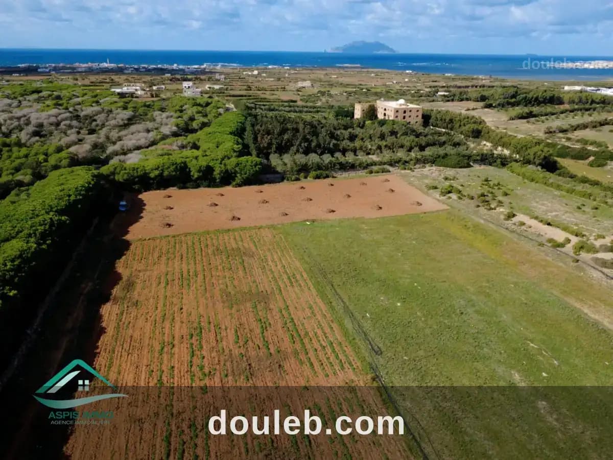 Vt809 terrain agricole à sidi daoued hawaria - Miniature 2