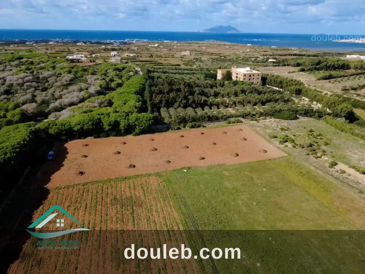 Vt809 terrain agricole à sidi daoued hawaria - Miniature 5