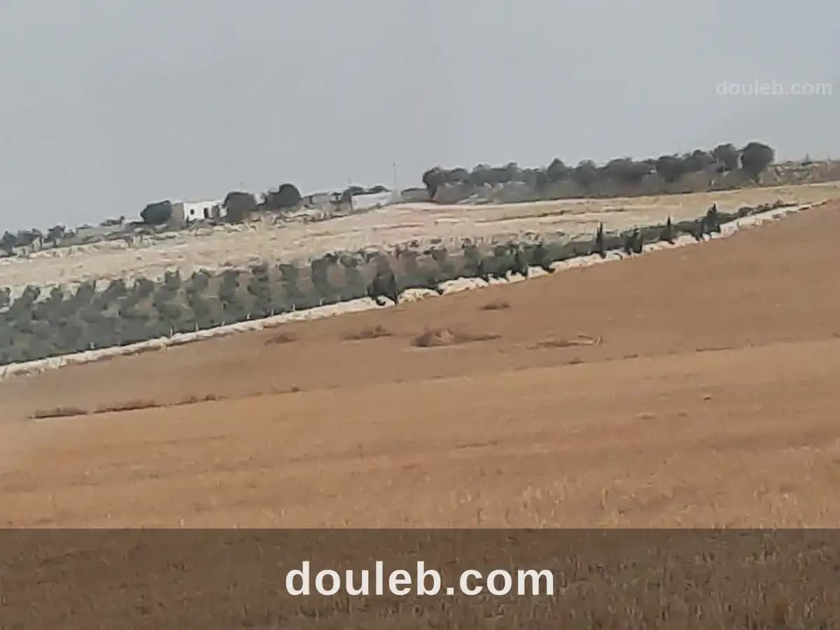 Des lots agricole de 01 ha à Tunis