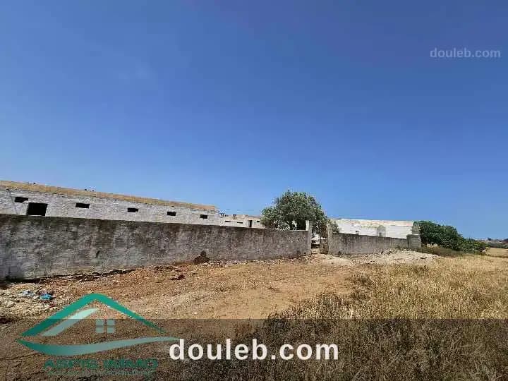 Vt903 terrain agricole 14280 m2 à kelibia - Miniature 5