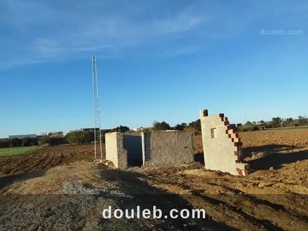 Investissement de 4000m à haouaria - Miniature 2