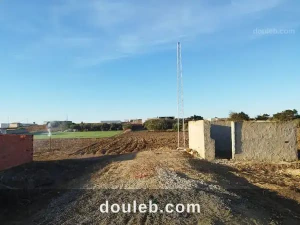Investissement de 4000m à haouaria - Miniature 3