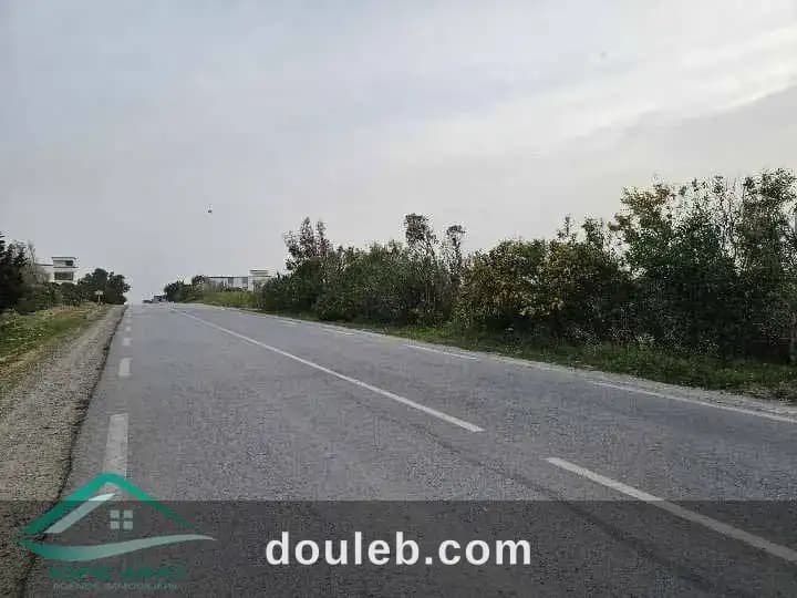 Vt896 terrain agricole 5 hectares à hawaria à Nabeul