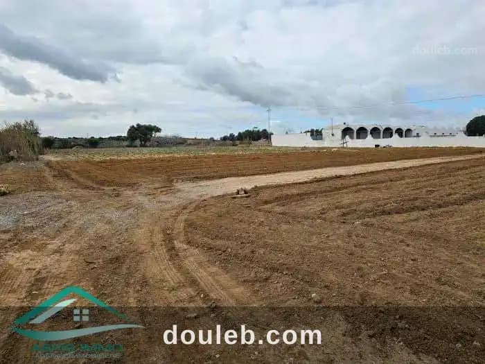 Vt875 terrain 331 m2 à sidi mansour kelibia à Nabeul