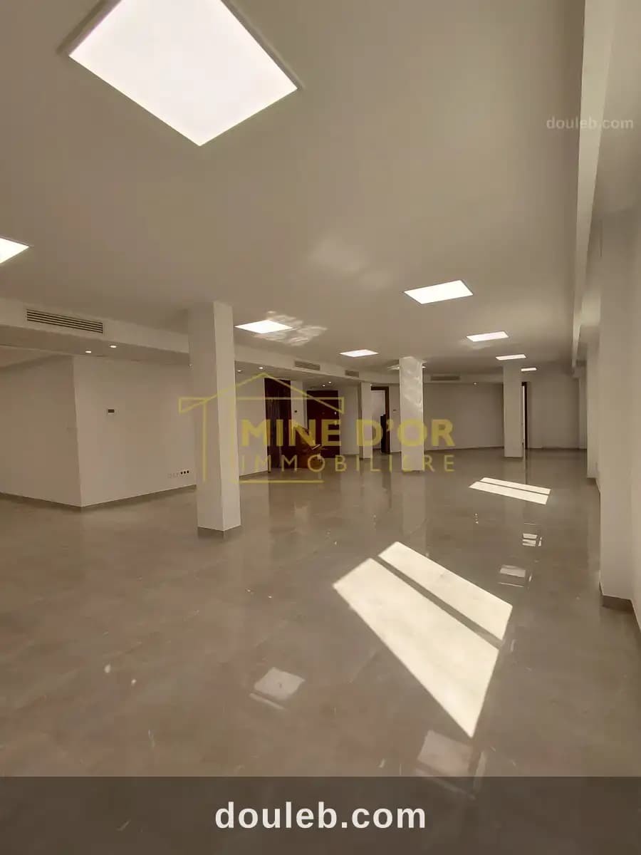 Al plateau en open space 200 m2 au lac 1 - Miniature 2