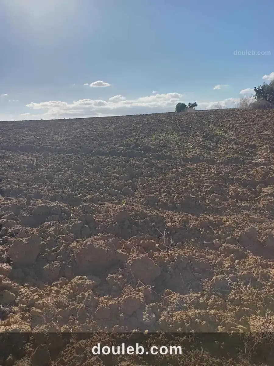3hectars et 3000m2 avec un puit à Nabeul