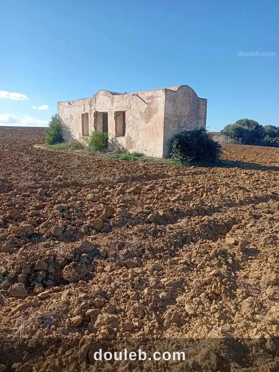 Deux hectares avec un maison arab à Nabeul