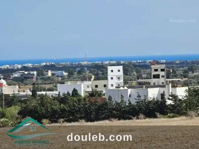 Vt850 terrain agricole 5980 m2 à tamezrat kelibia à Nabeul