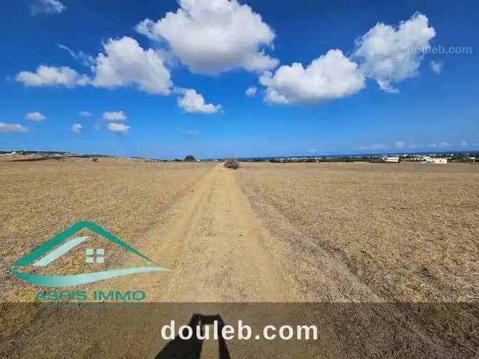 Vt850 terrain agricole 5980 m2 à tamezrat kelibia - Miniature 4