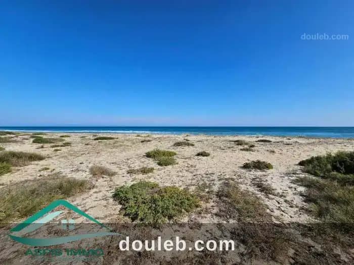Vt838 terrain 340 m2 à plage dherwa kelibia - Miniature 2