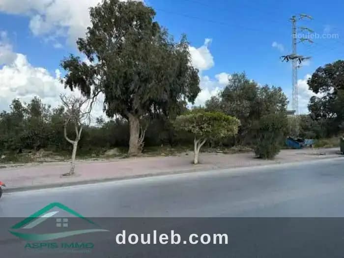 Vt812 terrain commercial 580 m2 à kelibia - Miniature 3