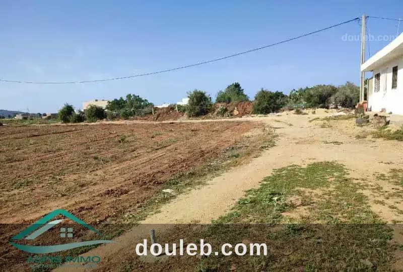 Vt823 terrain 166 m2 à kelibia - Miniature 3