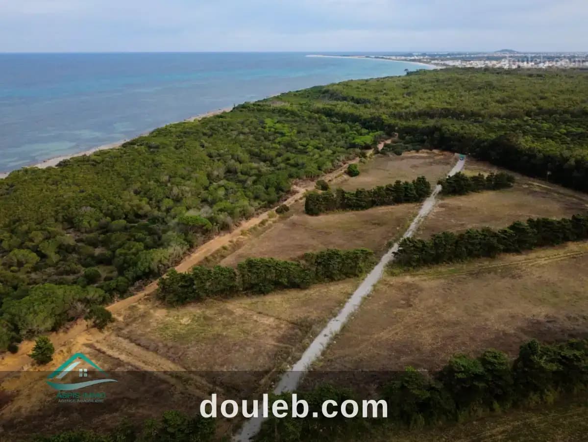 Vt825 terrain 1149 m2 à kerkouene - Miniature 5