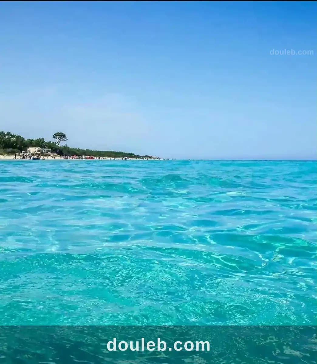 Invetir a ezzahra kelibia à Nabeul