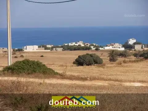 Terrains des 300m2 à 500m2 a la plage el haouaria - Miniature 3