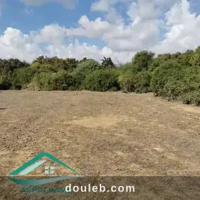 Vt758 terrain agricole 7226 m2 à kelibia à Nabeul