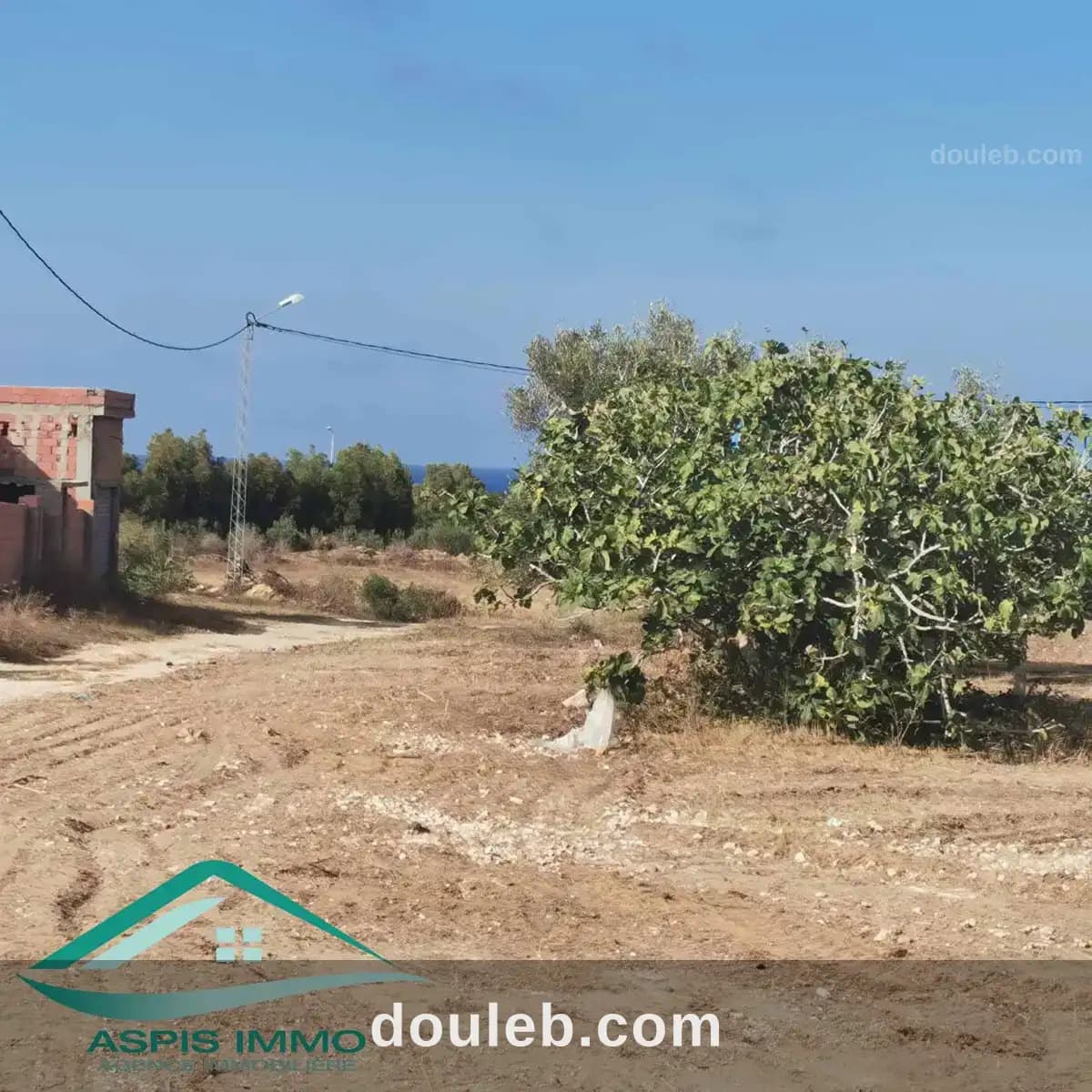 Vt744 terrain 125 m2 à hammam ghzeez - Miniature 2