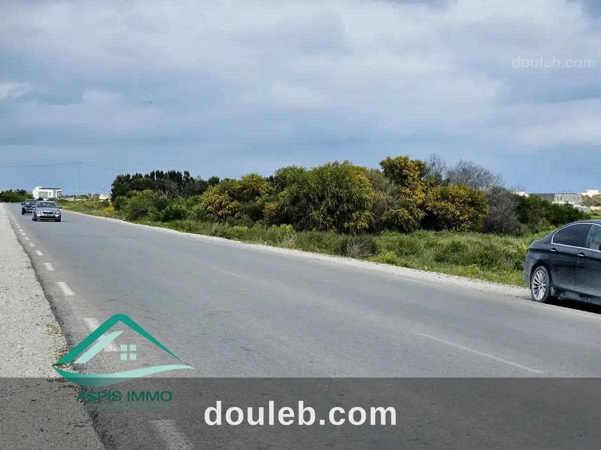 Vt983 terrain 1000 m2 à kelibia à Nabeul