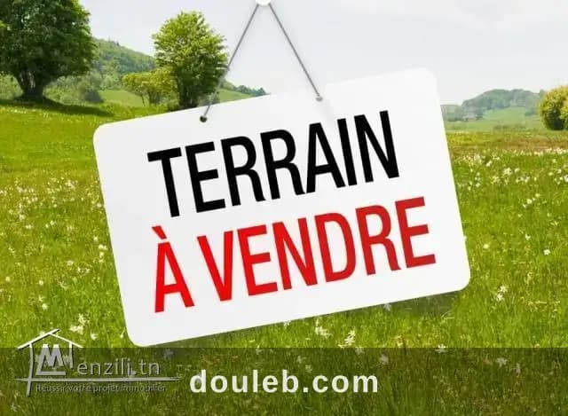 Terrain agricole à Ariana