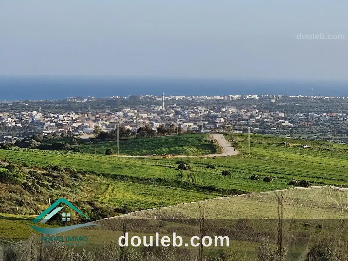 Vt977 terrain 5000 m2 vue sur mer à tamezrat à Nabeul