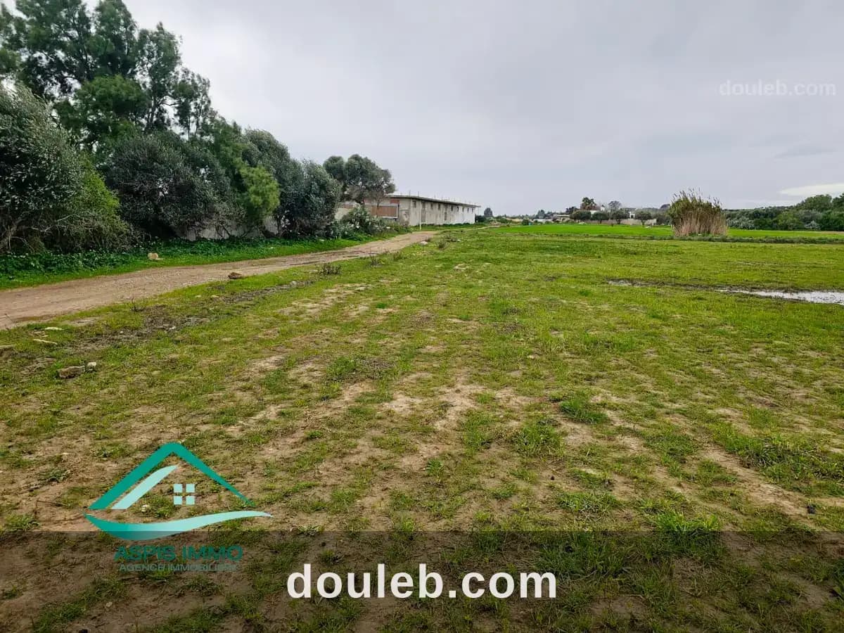Vt973 terrain 792 m2 à cité tahert kelibia à Nabeul