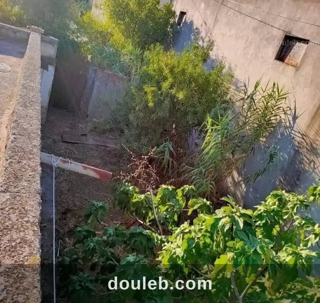Immeuble magnifique à ain ghlel - Miniature 5