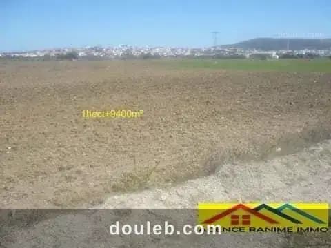 Terrain agricole de 1h et 9400m2 a el haouaria - Miniature 4