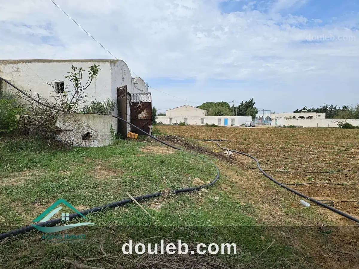 Vt942 terrain agricole 32180 m2 à dar allouch à Nabeul