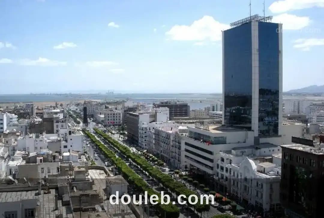 Habib bourguiba tunis fond de commerce - Miniature 2