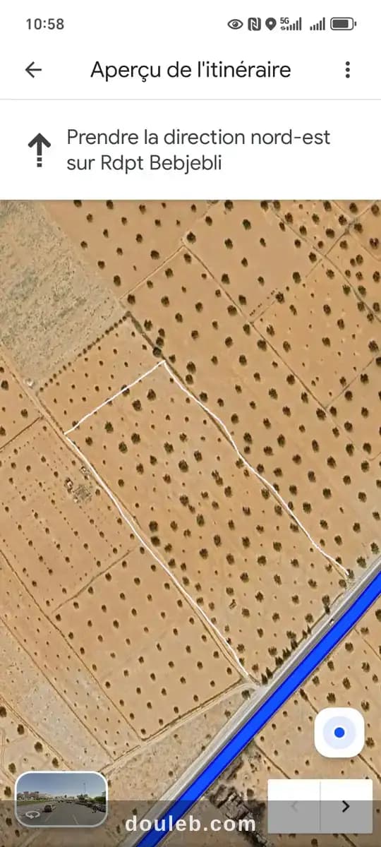 Terrain agricole prêt à Mahdia