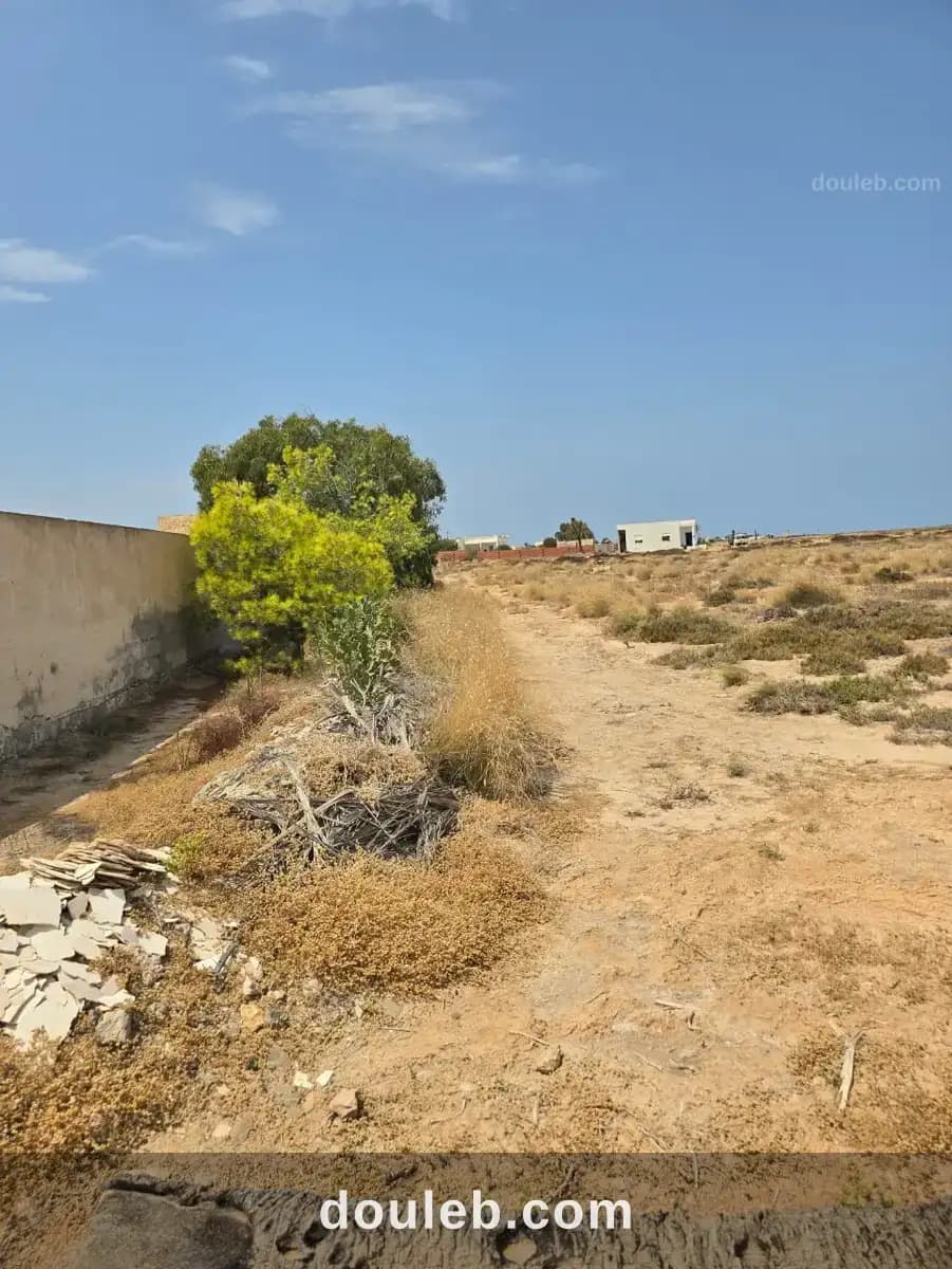 Terrain à kerkennah emplacement idéal plage sâidi à Sfax