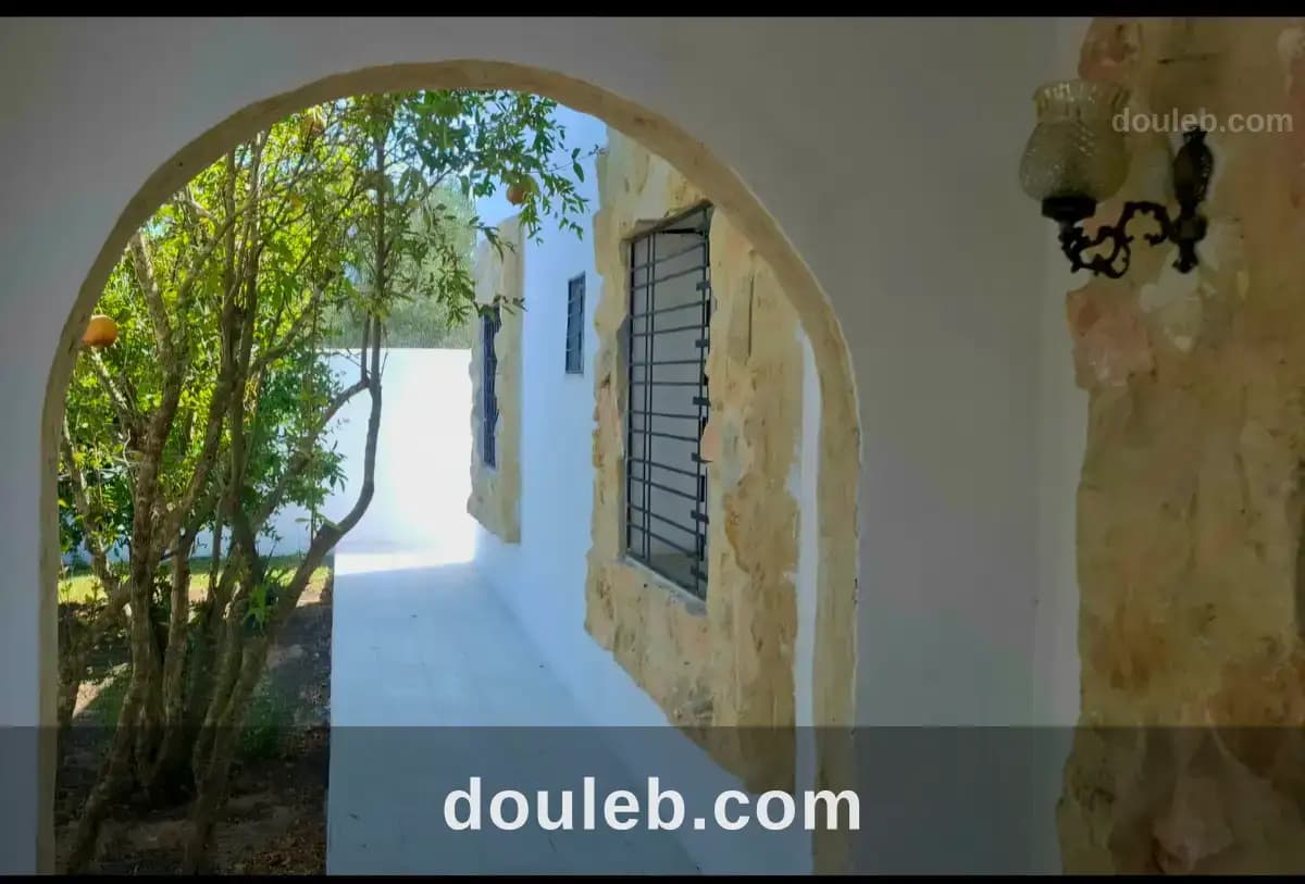 Magnifique villa rustique a hammamet - Miniature 2
