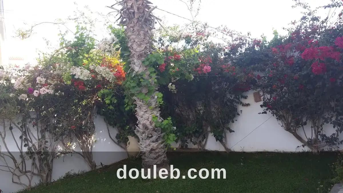Villa avec piscine à Nabeul