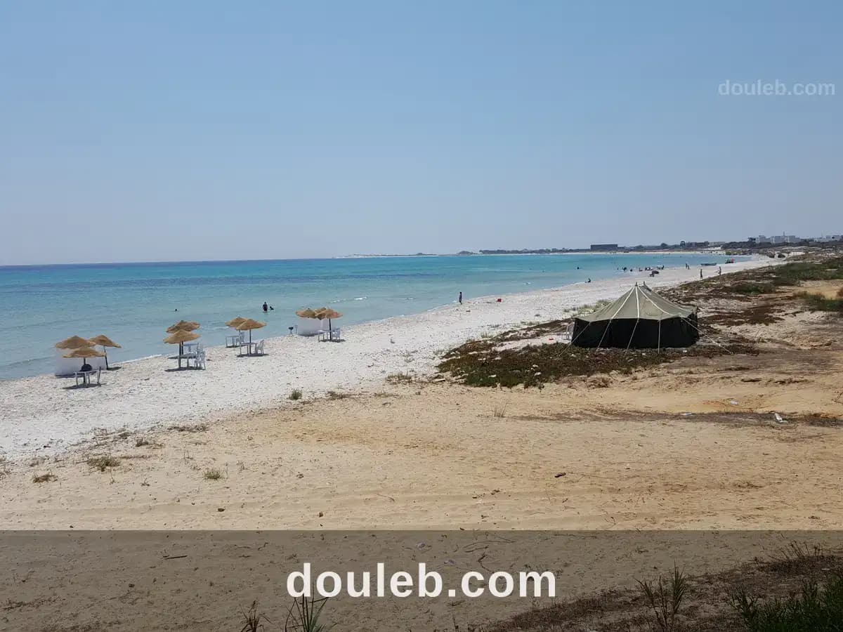 Investir terrain de 03 hectare à Nabeul