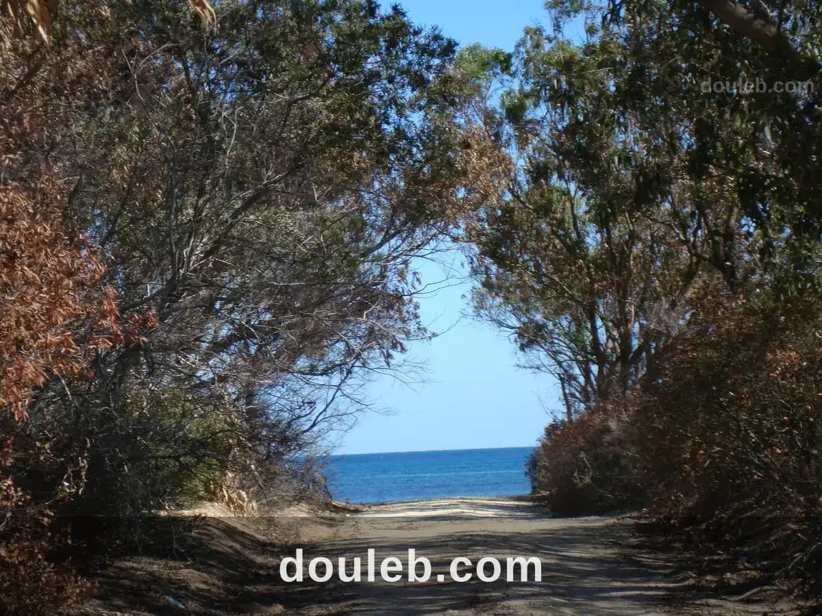 Belle investissement de 01 hectare à Nabeul