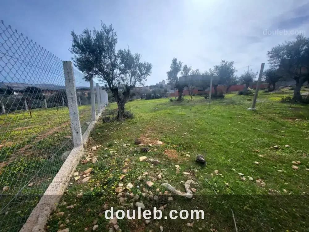 'un beau terrain 320 m2 - Miniature 2