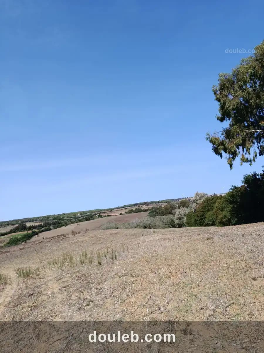 Terrain agricole - Miniature 2