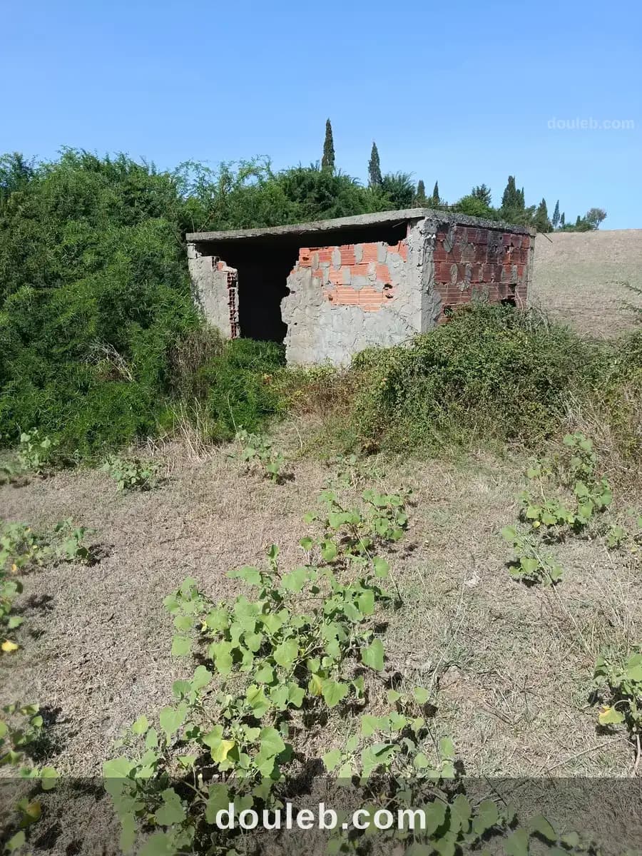 Terrain agricole - Miniature 3