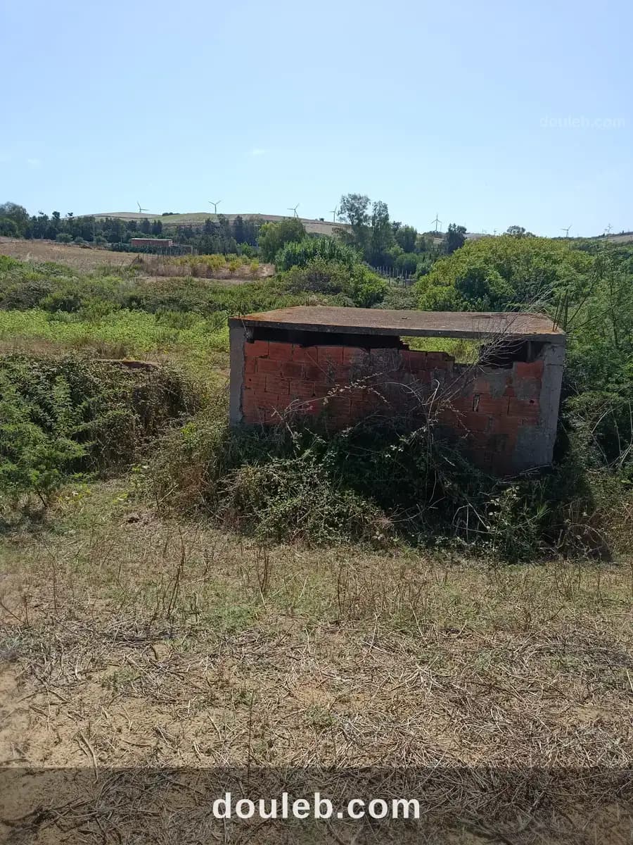 Terrain agricole - Miniature 4