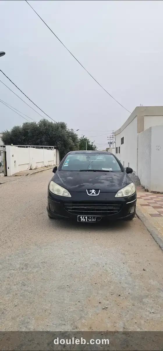 Peugeot 407 - Miniature 2