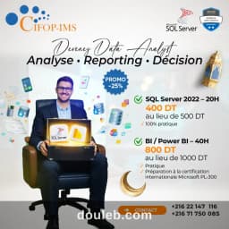 Parcours data analyst
