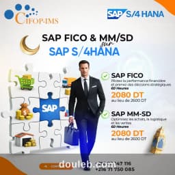 Formation sap mm sd et fico