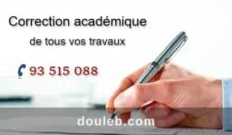 Correction académique de tous vos travaux