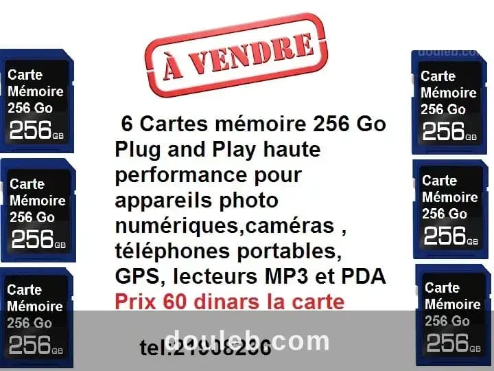 Cartes memoire 256go à Gafsa