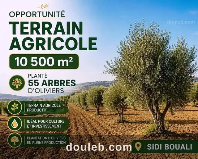 Lot 10500m prés maisons d hôte signo sidi bouali à Sousse