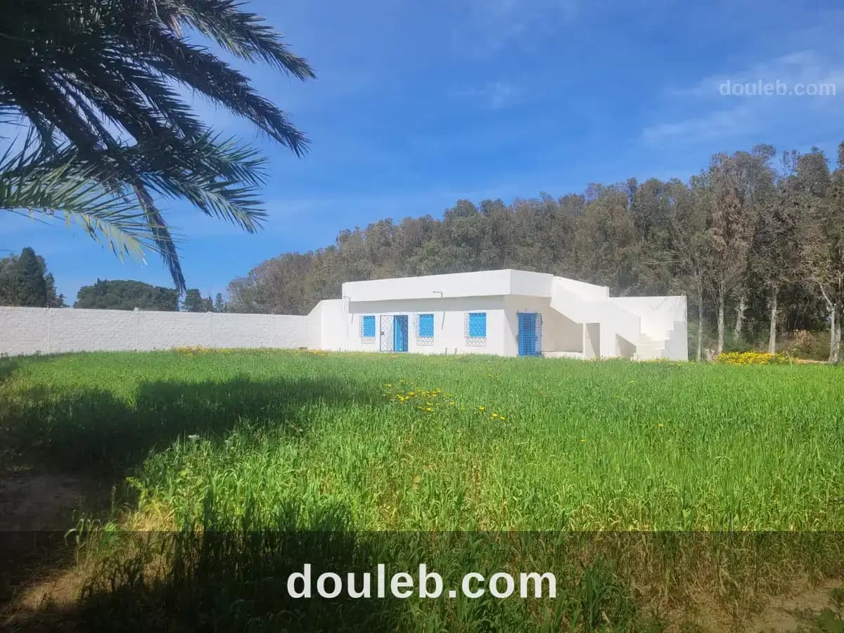 Beau 2p dans la forêt 80m 500m de la mer à Bizerte