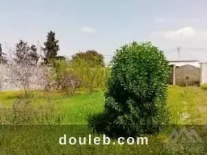 Villa s4 bejaoua 2 ref361a - Miniature 4